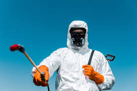 Best Bed Bug Extermination  in Ivanhoe, TX